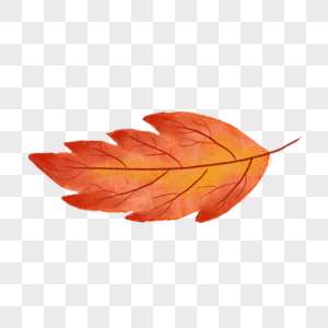 创意红色叶片水彩秋季树叶图片