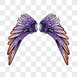 紫色渐变色彩翅膀图片