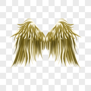 金属闪亮质感羽毛金色的翅膀图片