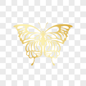 不规则金色镂空线稿蝴蝶图片