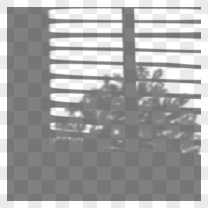 黑白树丛窗口叠加阴影高清图片