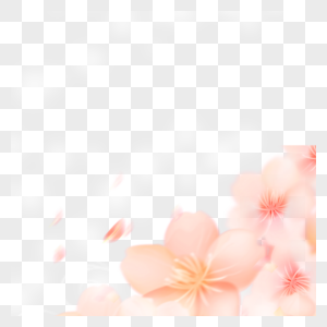 粉色樱花花朵元素图片