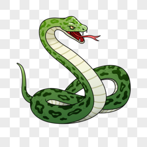 毒蛇插画风格绿色图片