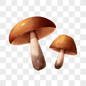 水彩褐色蘑菇图片