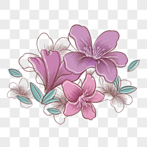 紫色花卉抽象线稿图片