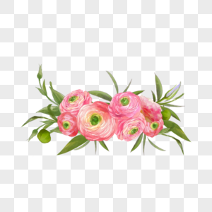 粉红色水彩婚礼花卉花毛茛图片