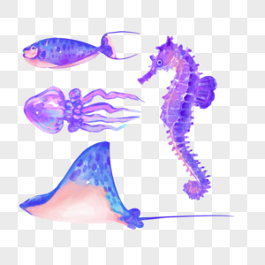 水彩海洋生物海鱼海马图片