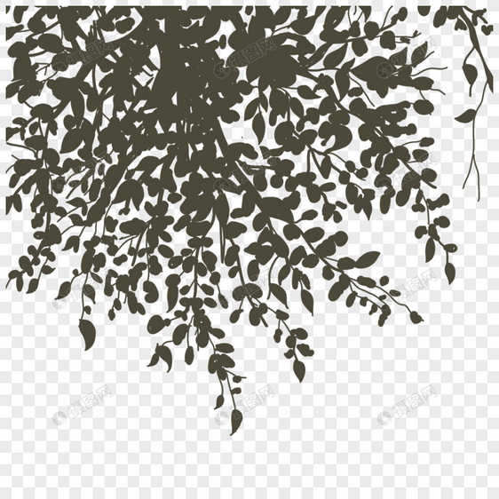 黑白植物树木叶片剪影图片