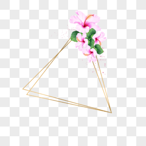 水彩木槿花卉婚礼三角形边框高清图片
