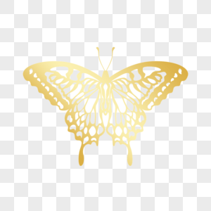 金色镂空线稿亮光蝴蝶图片