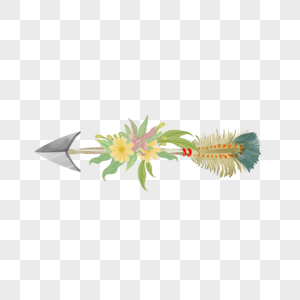 美丽波西米亚风箭头花卉图片