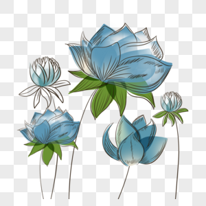 花卉植物抽象线稿蓝色图片