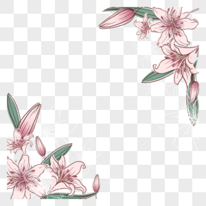 水彩线条画粉色花卉边框图片