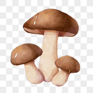 水彩风格蘑菇图片