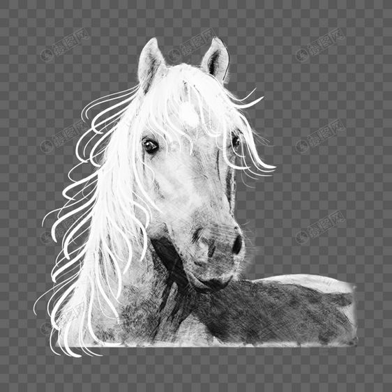 黑白线条马头素描图片