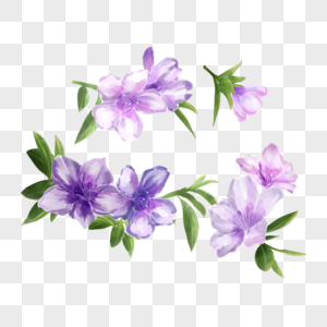 紫色水彩晕染花卉杜鹃花图片