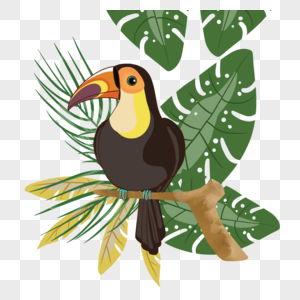 热带植物卡通可爱夏季植物巨嘴鸟图片