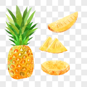 水彩夏季水果菠萝成熟的果实图片