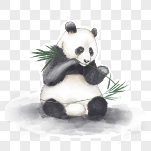 黑白水彩熊猫图片