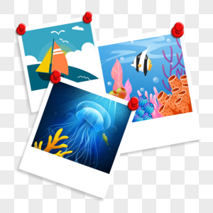 夏季相框相纸景物海洋照片图片