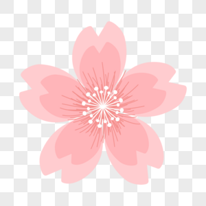 白色花蕊线条粉色樱花图片