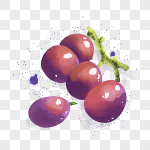 夏季水果水彩葡萄提子图片