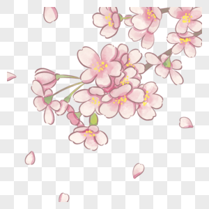 粉色春季樱花花朵图片