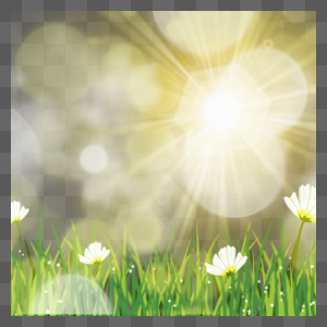 春天阳光下的小草光效花卉边框图片