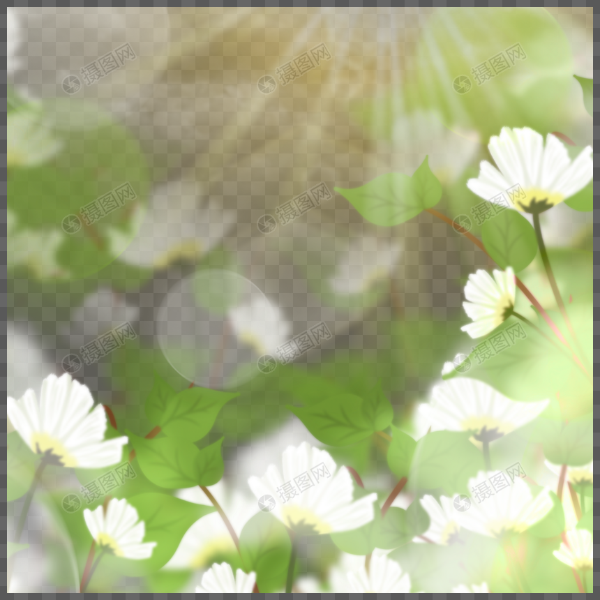 春天阳光下的光效花卉边框图片