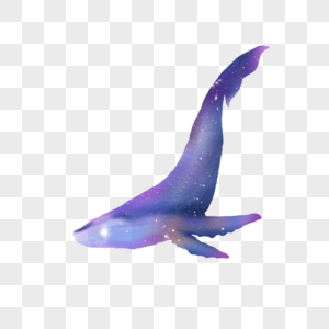 鲸鱼水彩风格星空图片