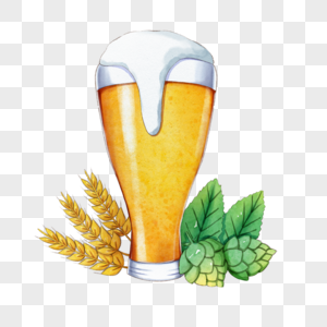 带啤酒花的水彩啤酒高清图片