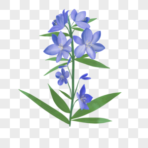 蓝紫色婚礼蓝铃花水彩植物图片