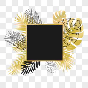 金色边框热带植物龟背竹棕榈树图片