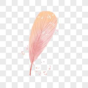 水彩玫瑰金抽象羽毛图片