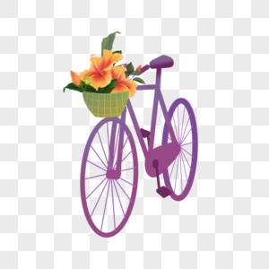 载着木槿花花卉的自行车图片