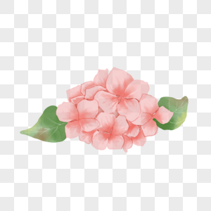 粉色水彩花卉花朵图片