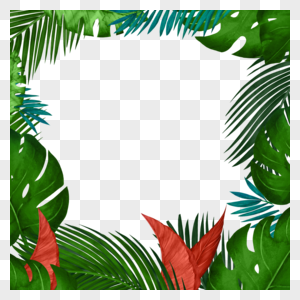 夏季热带红色树叶植物边框图片