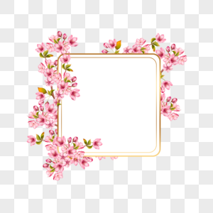 粉色樱花盛开缠绕花朵方框图片