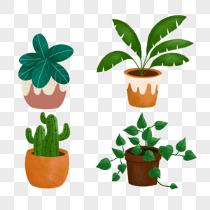 室内绿色植物盆栽图片