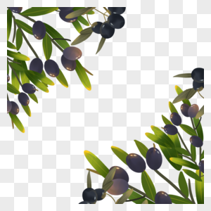 橄榄叶子创意边框高清图片