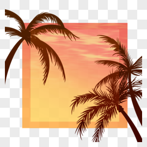 阳光照射下的椰树夏季夜晚边框图片