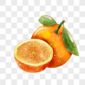 水彩风格水果橘子对半切开图片