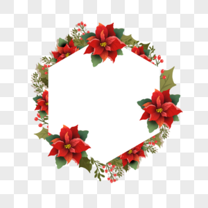 圣诞新年一品红花卉六边形边框图片