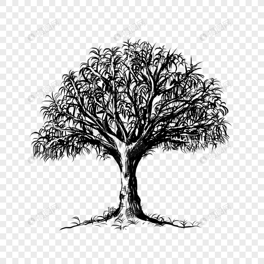 黑白铅笔素描树木图片