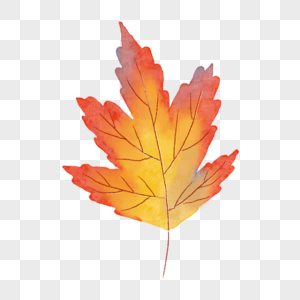 抽象枝叶线条水彩秋季树叶图片