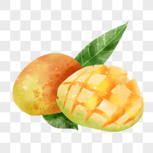 食物芒果果实水彩画叶子图片