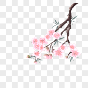 粉色水彩桃花花卉植物图片