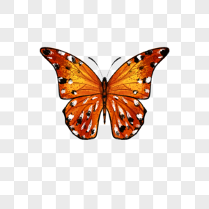 蝴蝶昆虫水彩写实图片