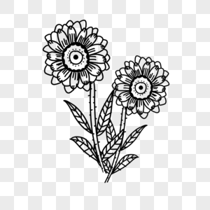 两朵黑白花卉线条画风图片