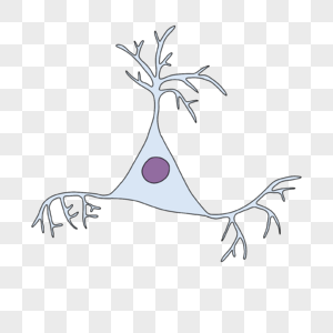 神经病学锥体神经元插画高清图片